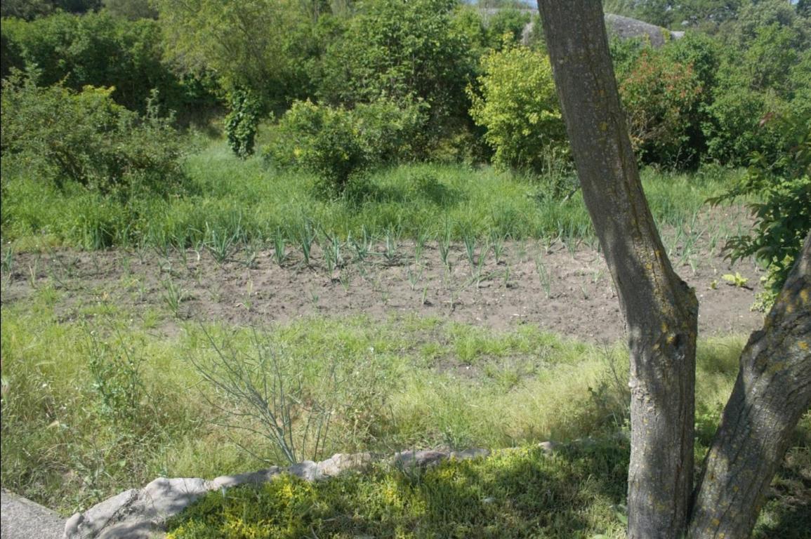 Masoveria La Roca Sagas Εξωτερικό φωτογραφία